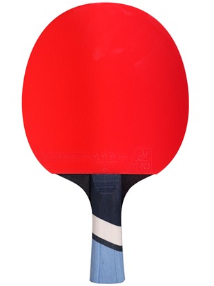 Table tennis racket Cornilleau Perform 500 ***