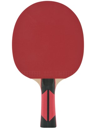 Lopar za namizni tenis DSK Top Teams 900